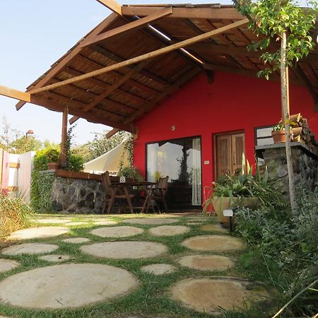 The Green And Red Cabins Ma'ale Gamla Zewnętrze zdjęcie